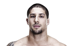 Brendan Schaub