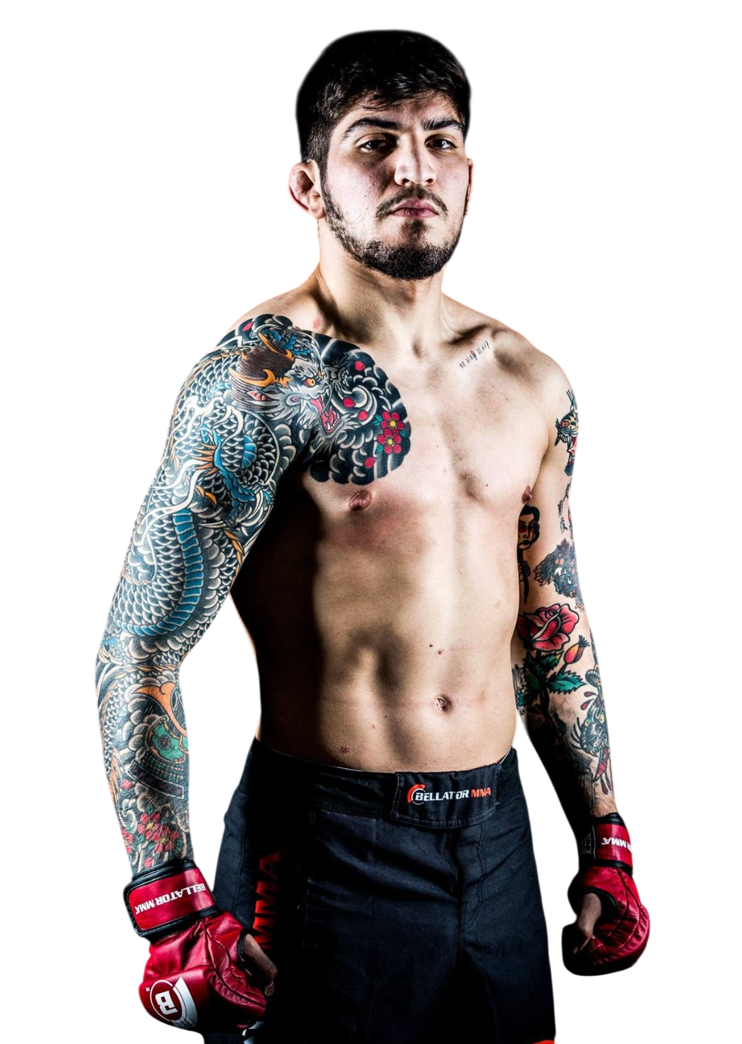 Dillon Danis