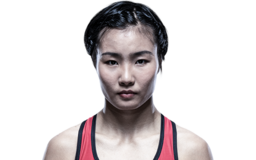 Feng Xiaocan