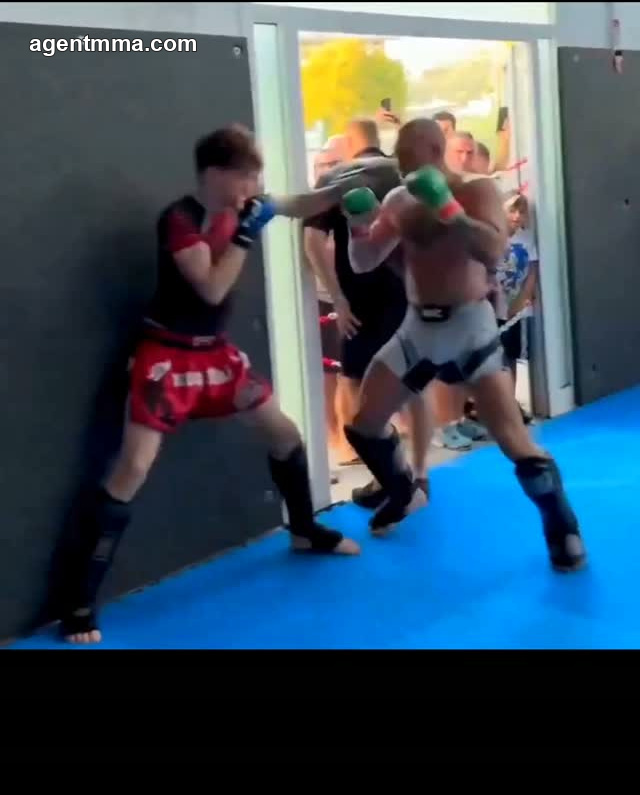 McGregor Shows Sharp Form in Sparring Footage Ahead of Rumored July Return