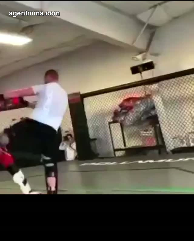 Justin Gaethje's Viral Sparring Footage Showcases UFC Lightweight Champion's Legendary Chin