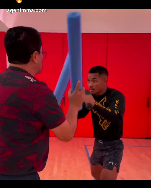 Joshua Van Holds UFC Flyweight Title With Record-Breaking 57.4% Strike Accuracy