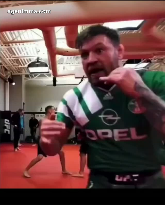 McGregor's TUF coaching stints showcased MMA's biggest star's explosive power and relentless banter