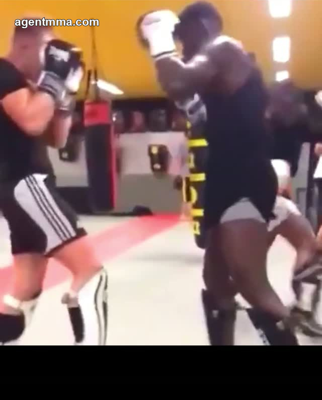 Heated sparring sessions are combat sports’ most entertaining gym wars, and these two are…