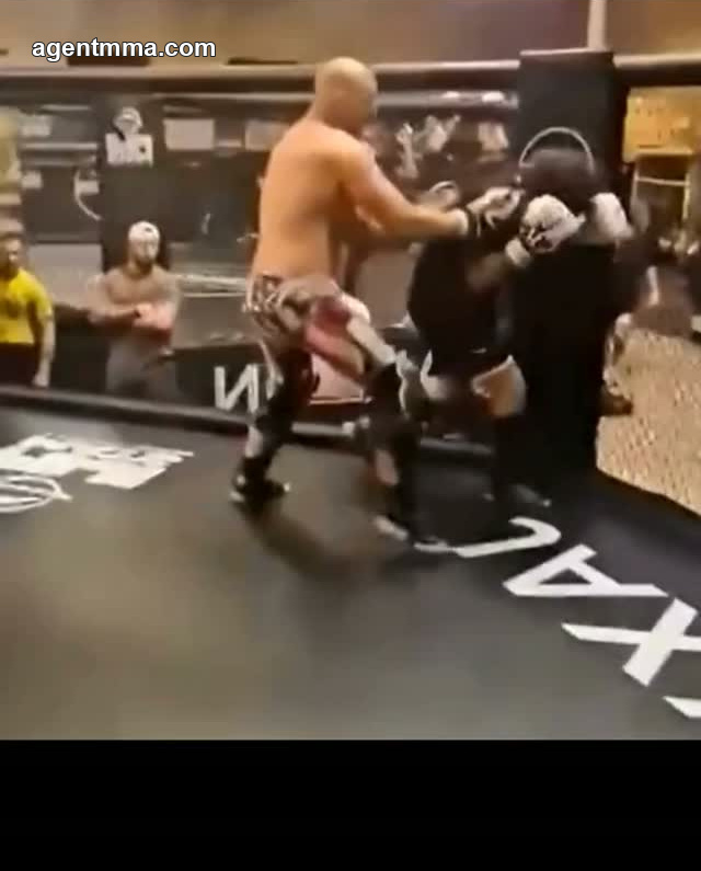 Sean Strickland Beats Another Influencer in Sparring Session, Following Sneako and Nayersina Sessions