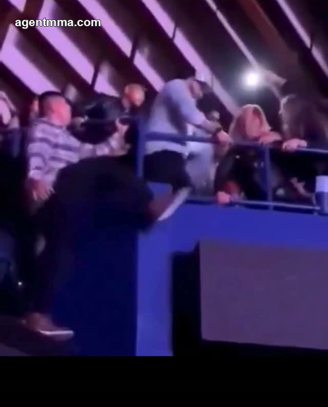 Un homme chute en tentant de franchir une barrière pour rejoindre une bagarre, rappelant le saut dans la cage de Khabib en 2018