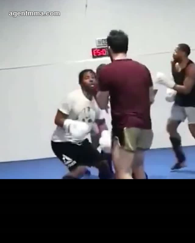 Luchador noqueado por una patada en la cabeza durante una sesión de sparring, muestra el video