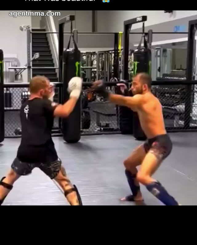 TJ Dillashaw Sparring Head Kick Video Draws Praise From Coach