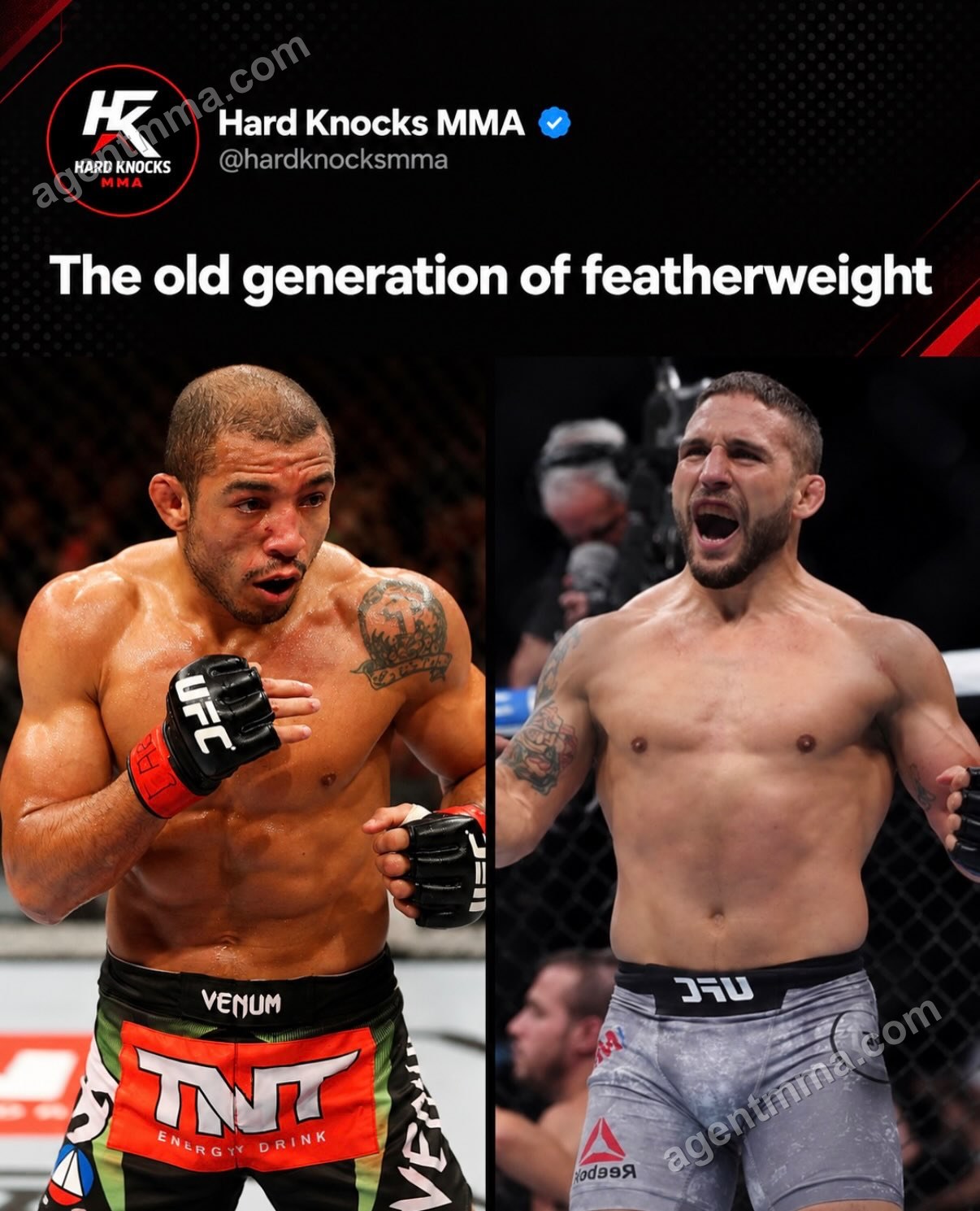 プロモーションの投稿によると、ボルカノフスキーはUFCフェザー級の歴代王者を通じて変わらぬ存在とされる