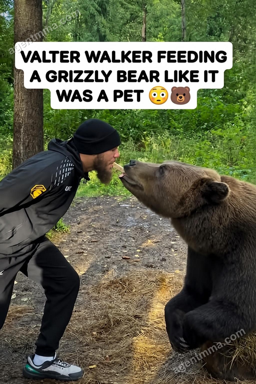 Valter Walker feeds grizzly bear from his mouth in Russia