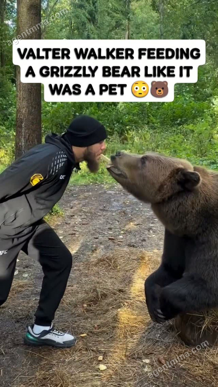 UFC heavyweight Valter Walker feeds grizzly bear from his mouth in Russia