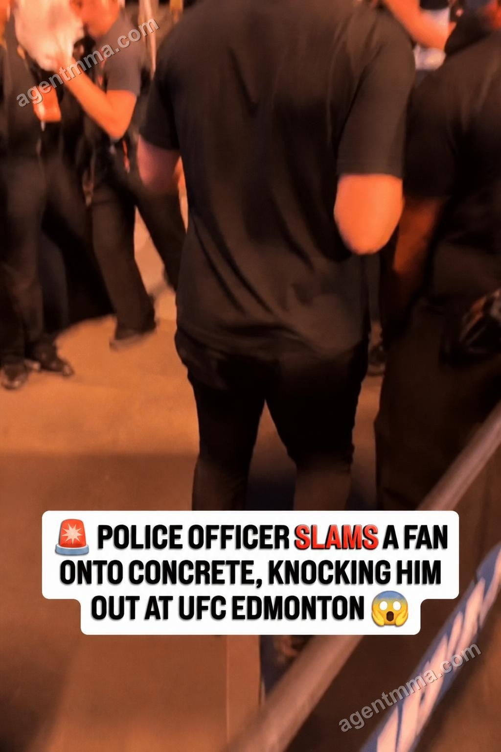 Fan Knocked Unconscious by Police Officer During Fight at UFC Edmonton Event