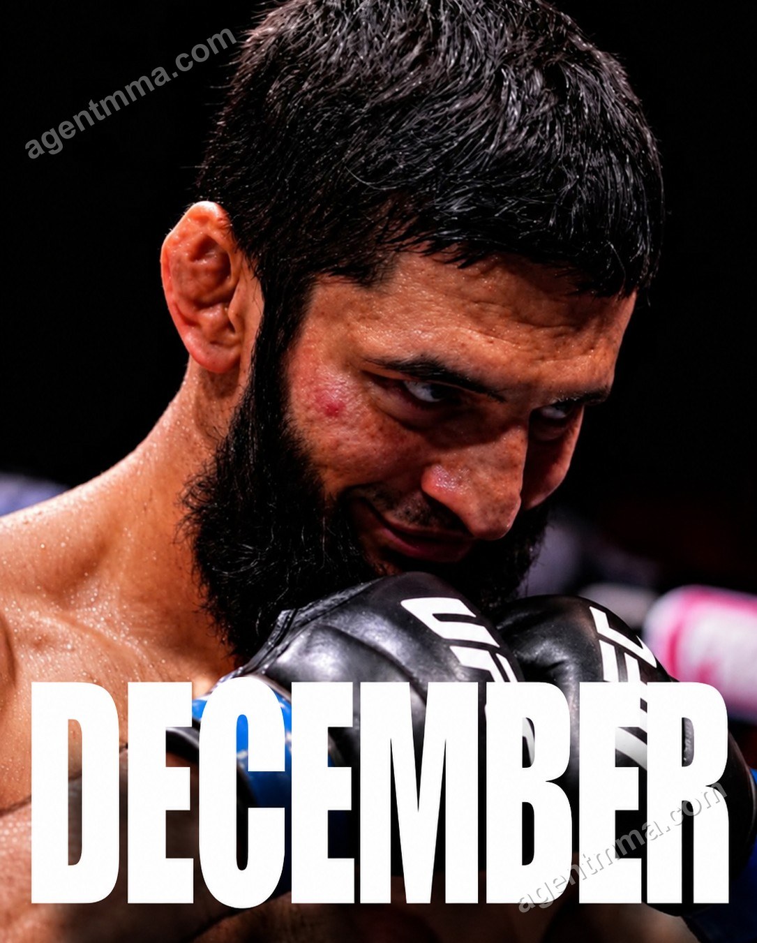 Khamzat Chimaev targets December return with potential Joe Pyfer title eliminator