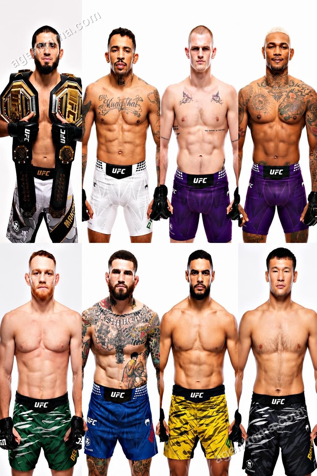 La División de Peso Wélter del UFC Alcanza su Máxima Profundidad con Makhachev en la Cima