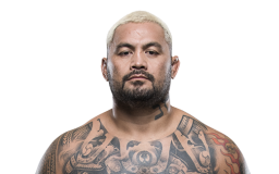 Mark Hunt
