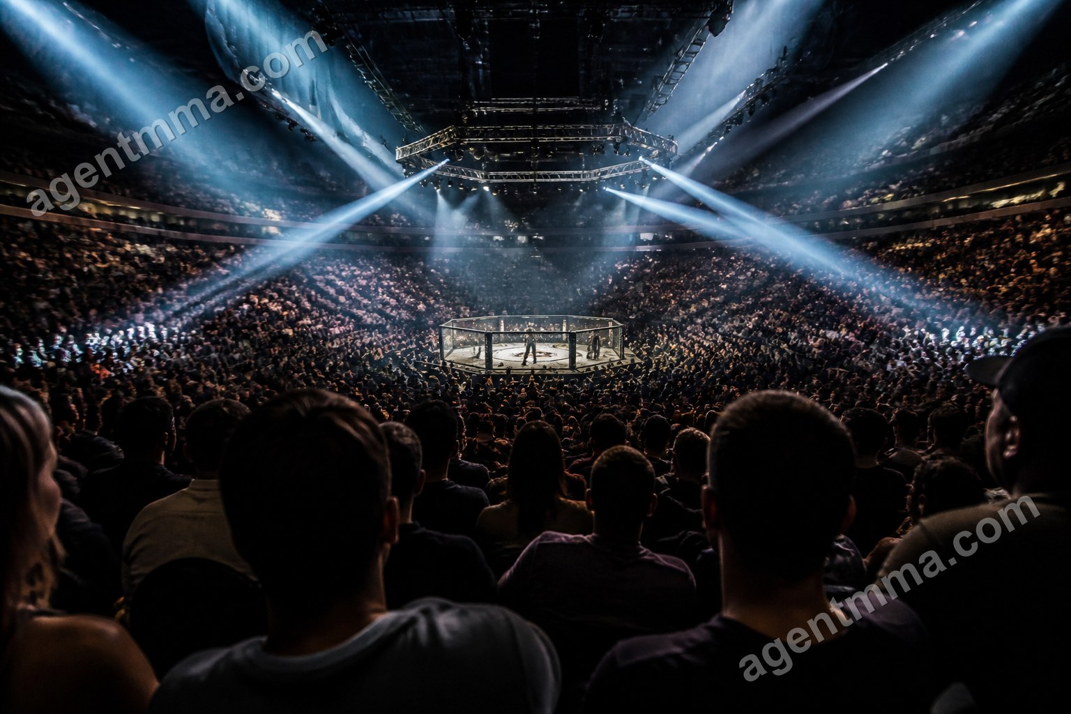 Are UFC Stats Accurate? What Reddit Gets Right and Wrong
