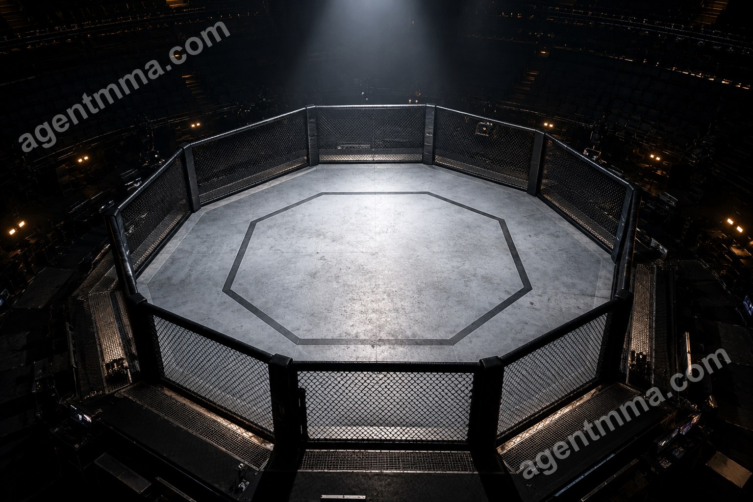 UFC жекпе-жегінің орташа ұзақтығы: қанша созылады?