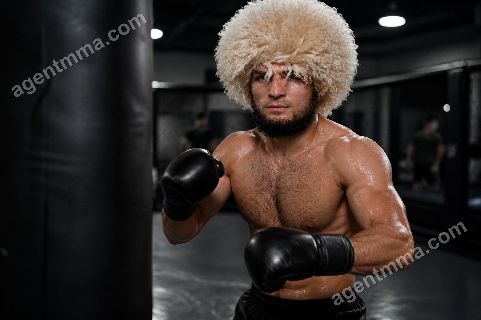 Best UFC Gyms by Win Rate: What the Data Can Prove