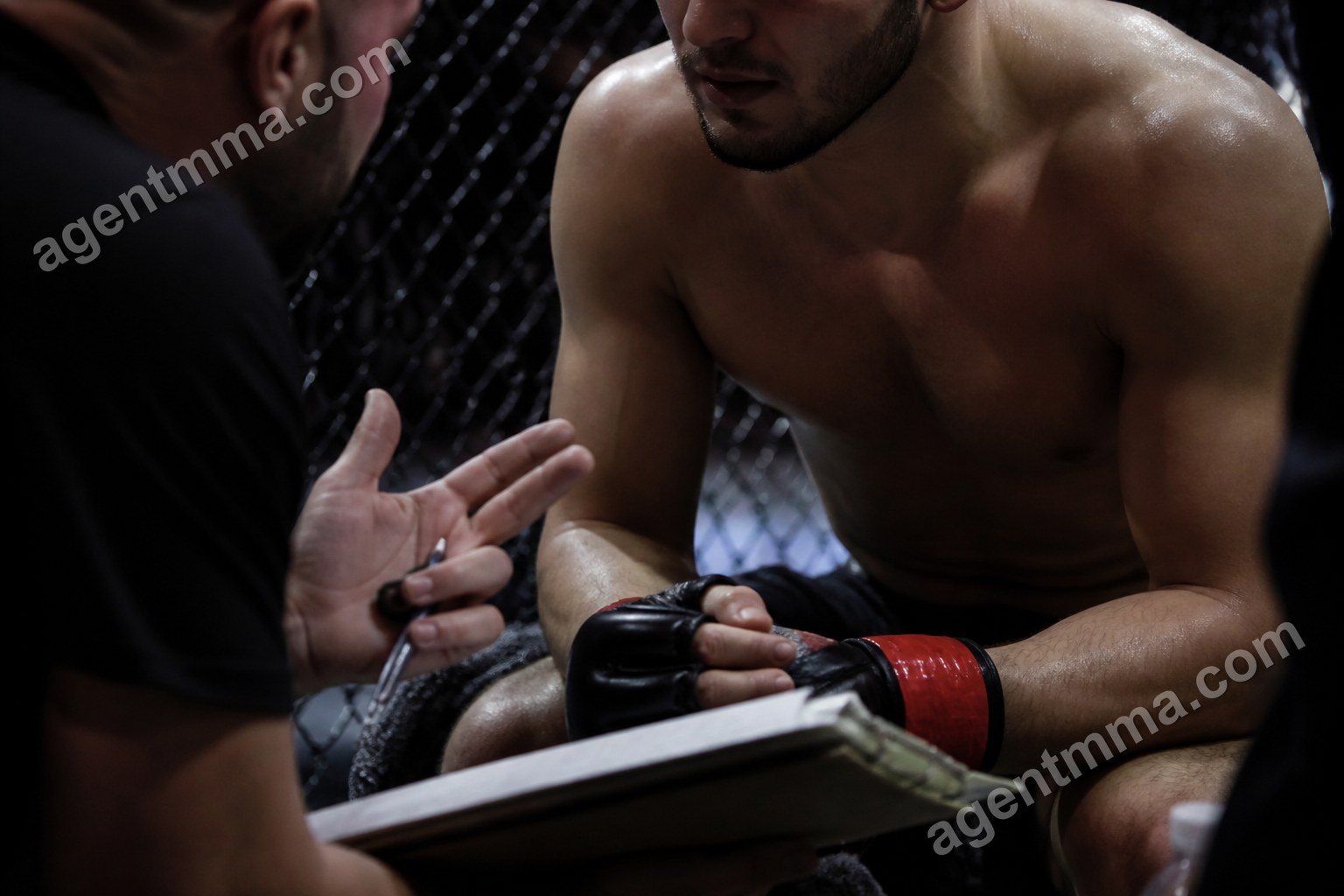 Contender Series UFC Success Rate: What the Data Shows