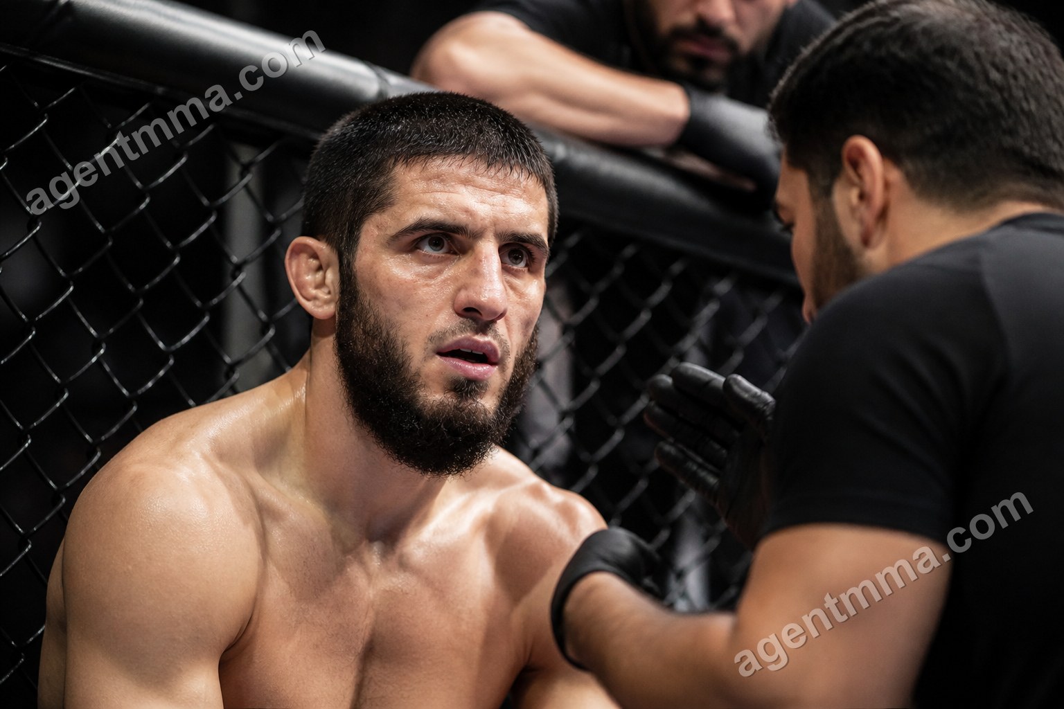 Creatine for MMA: Does It Help Fighters Perform Better?