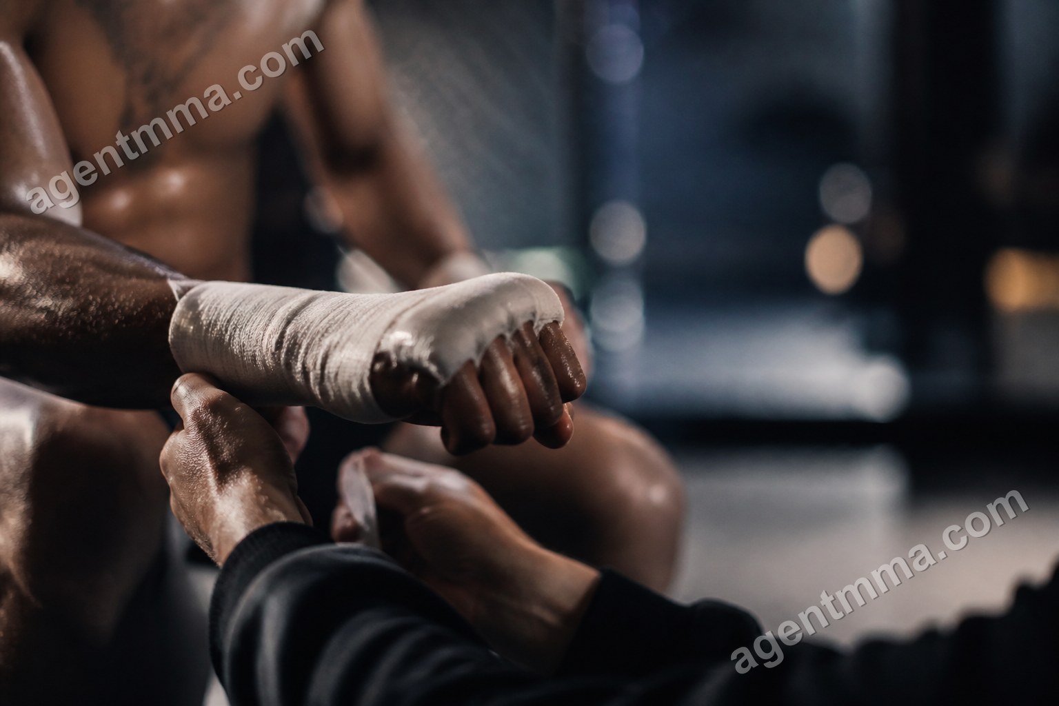 How Hard Do MMA Fighters Hit? What Force Studies Show