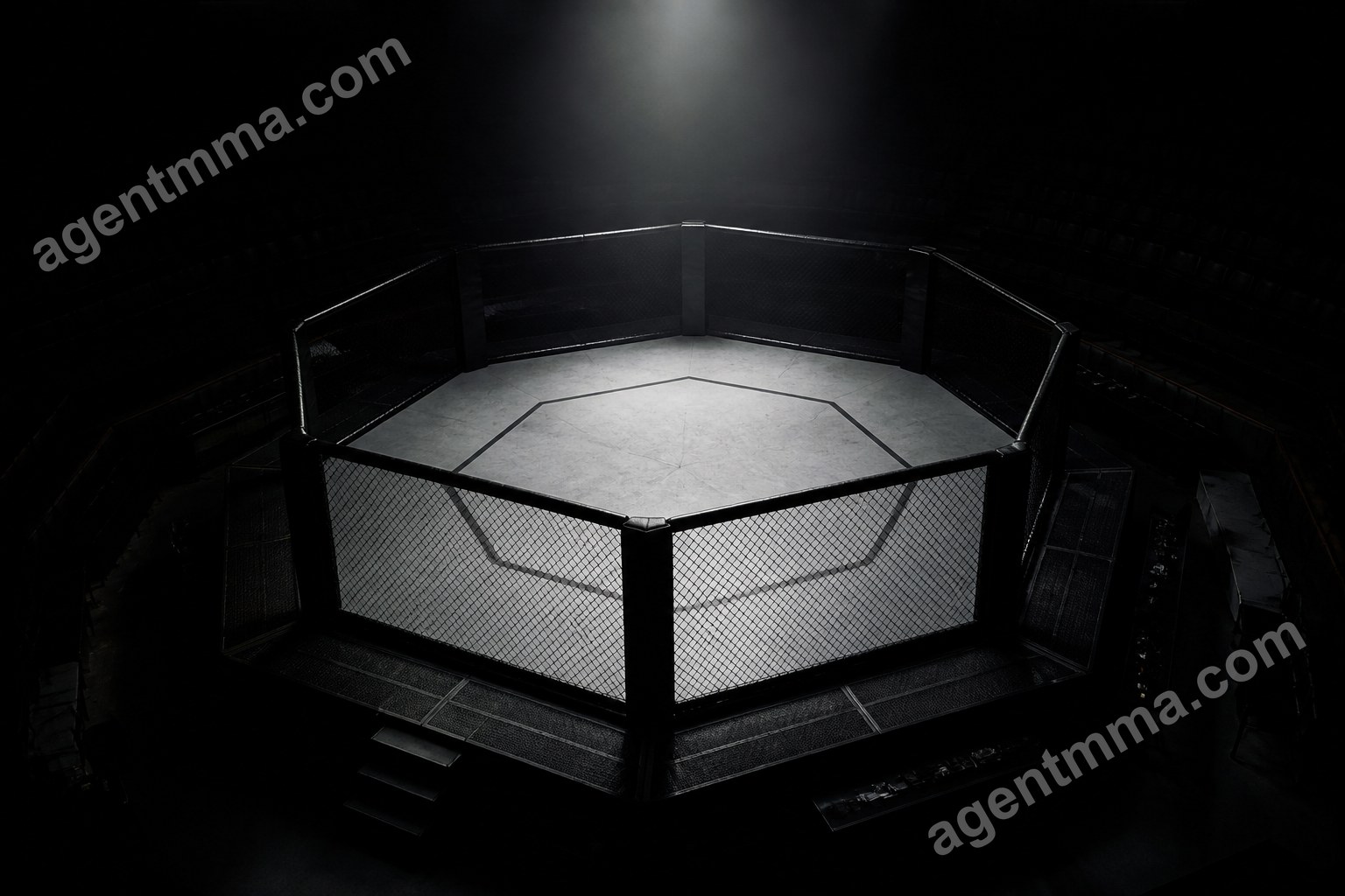How Are UFC Rankings Decided? Meta System Explained