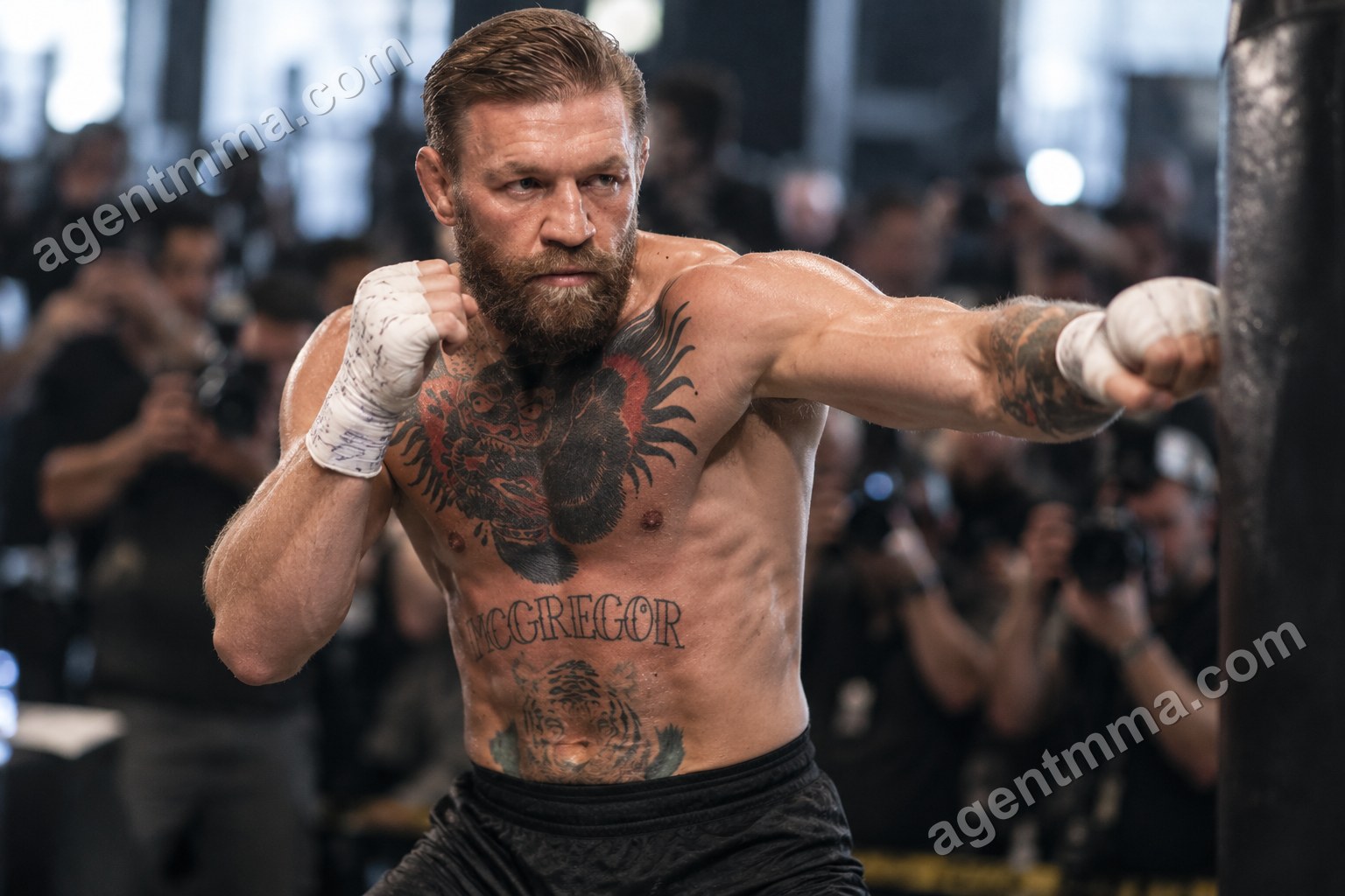 Do Elevation Training Masks Help MMA Cardio? The Data