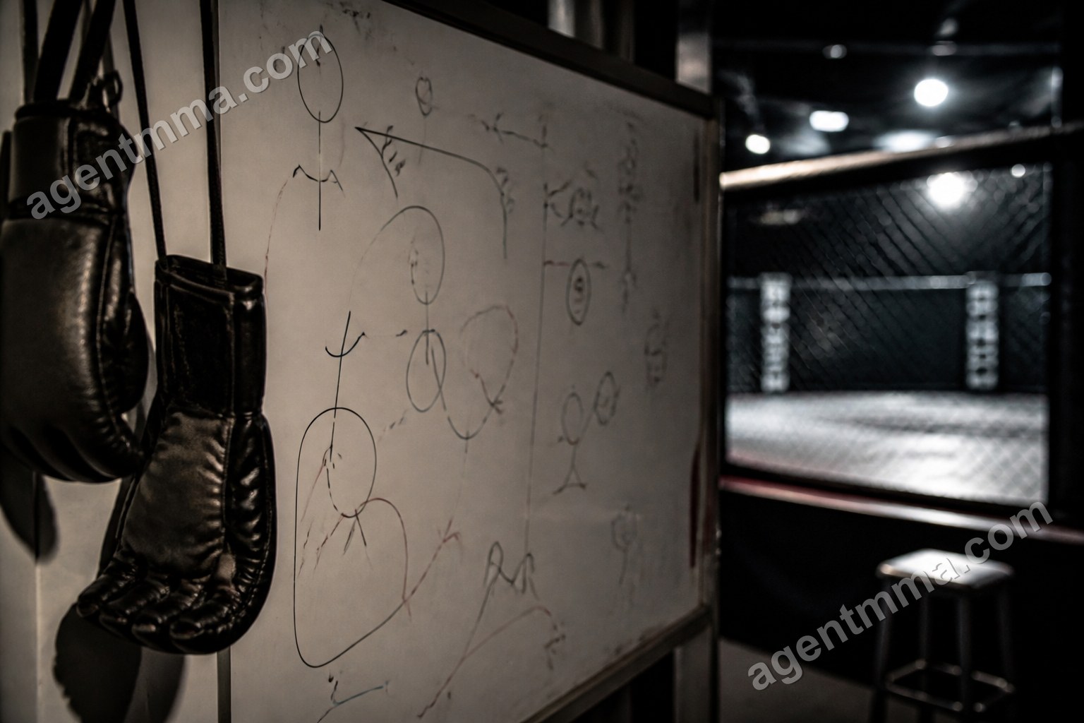 Do Beards Protect UFC Fighters From Knockouts? What Data Says