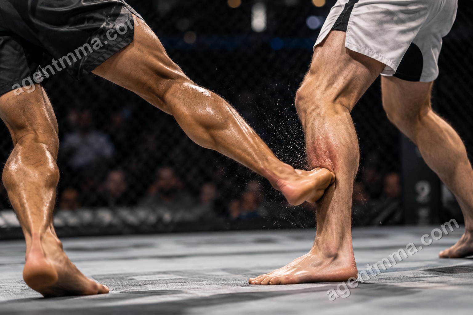 Why Are UFC Calf Kicks So Effective? What Data Shows
