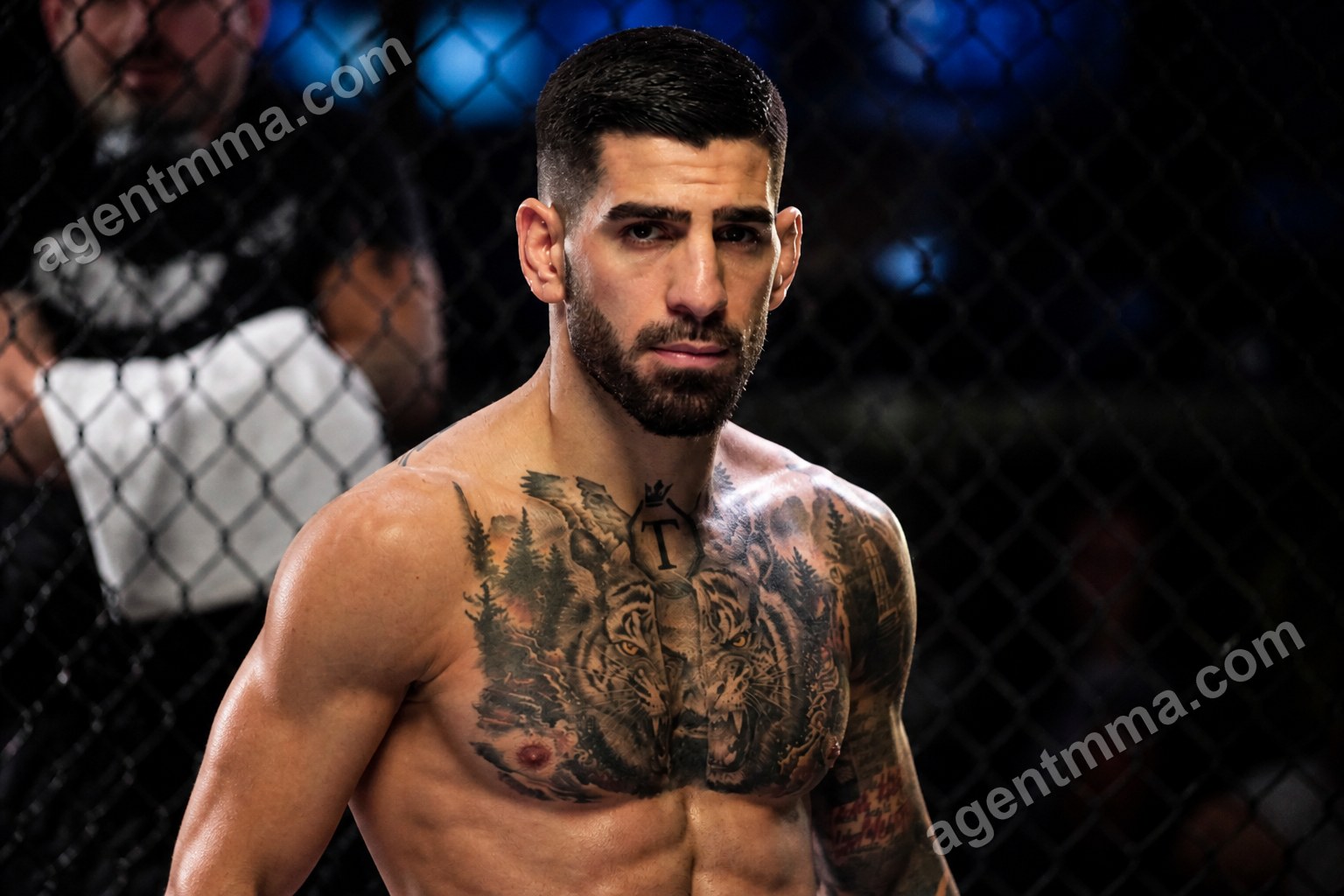 How Often Do UFC Betting Favorites Win? What the Data Says