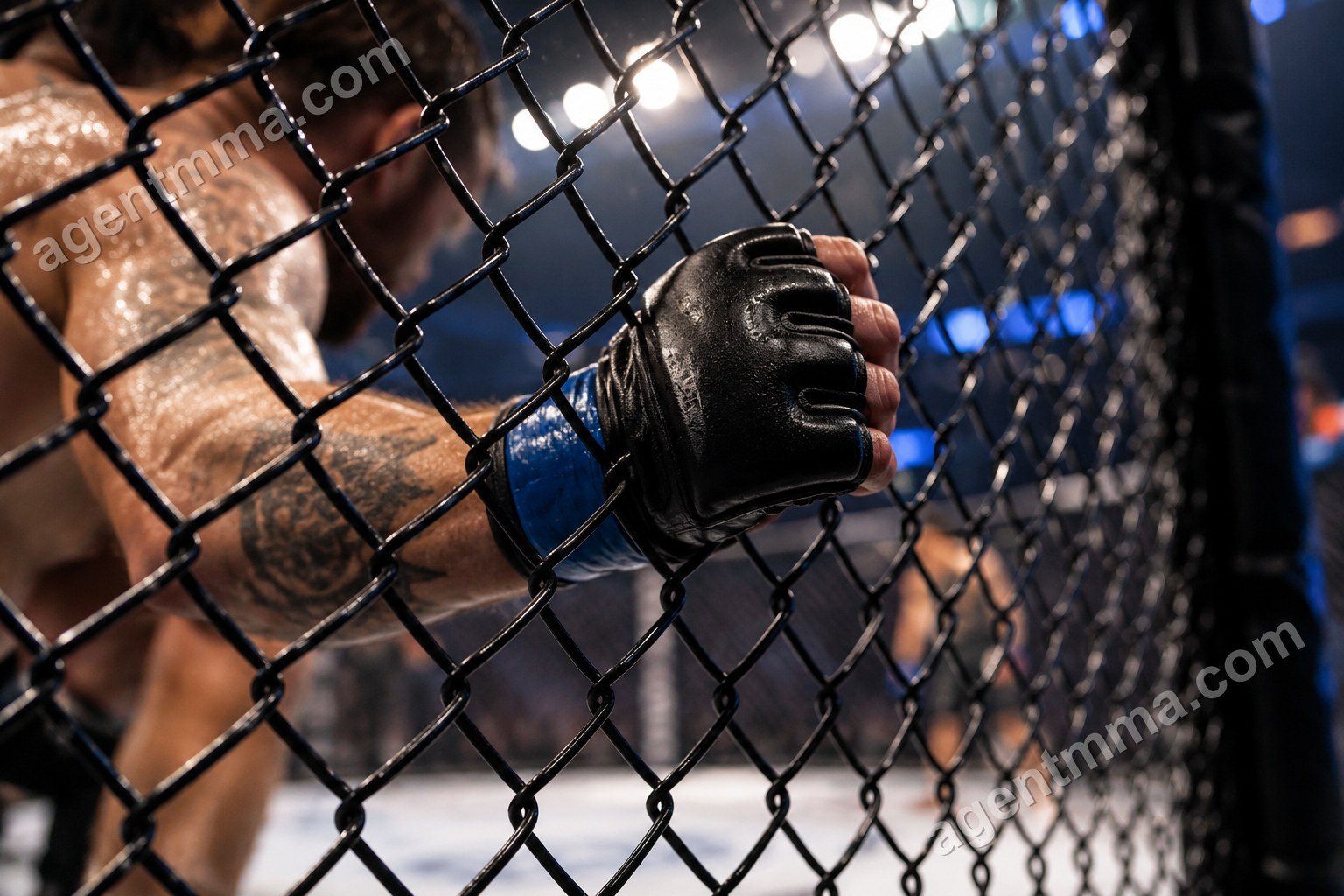 Saisir le grillage en UFC : règles et retraits de points