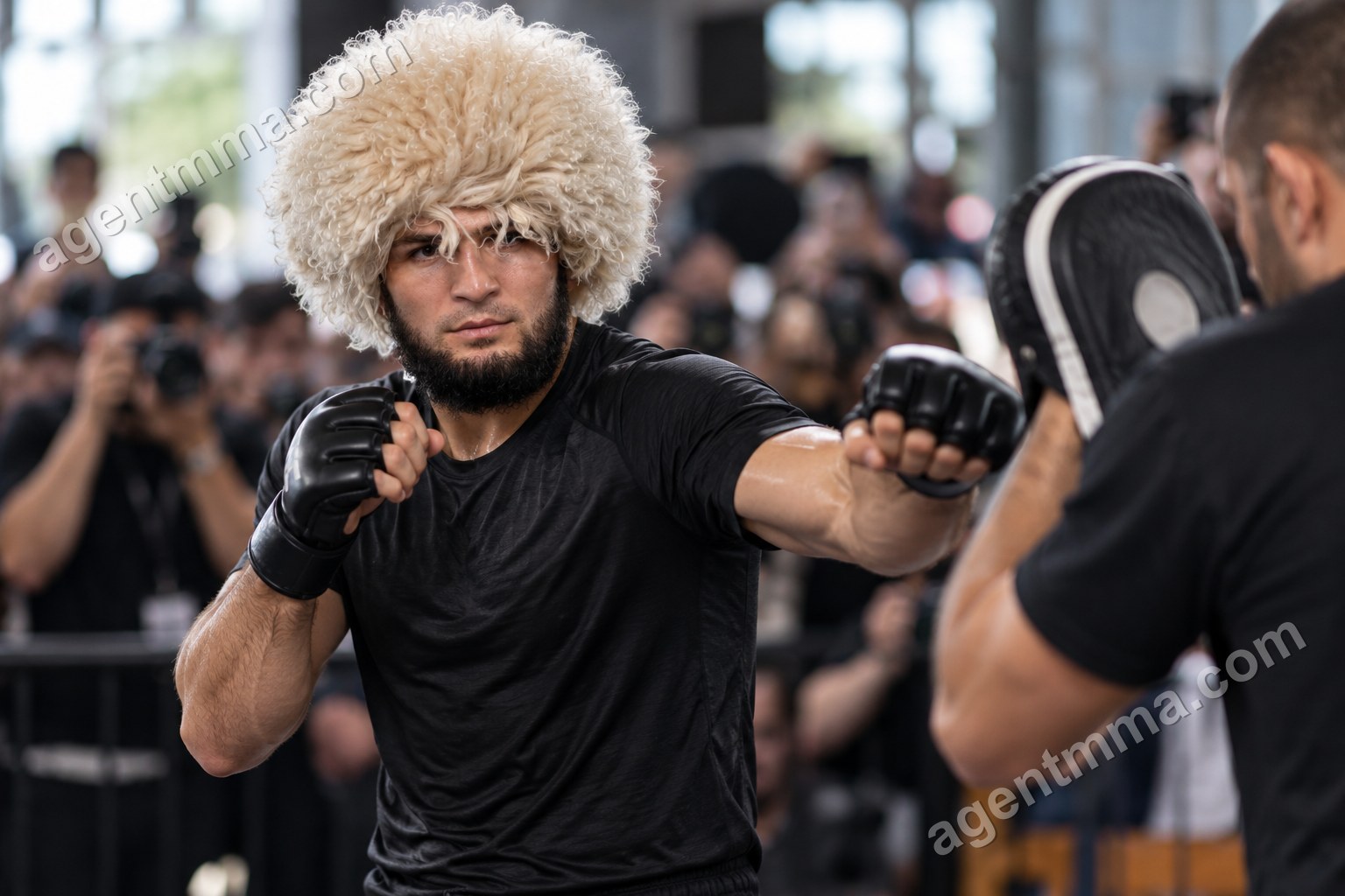 Saisir le grillage en UFC : règles et retraits de points