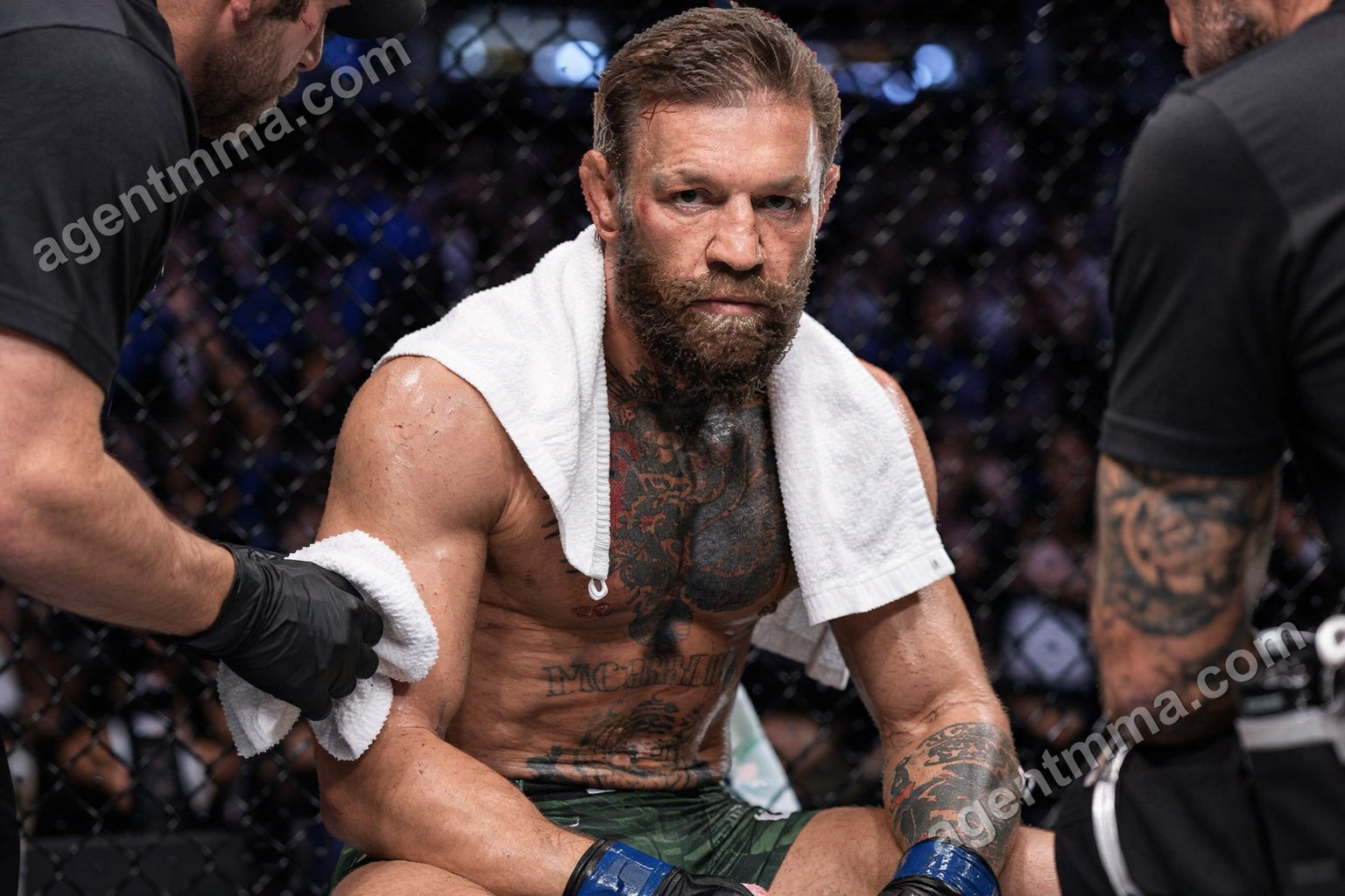 Saisir le grillage en UFC : règles et retraits de points