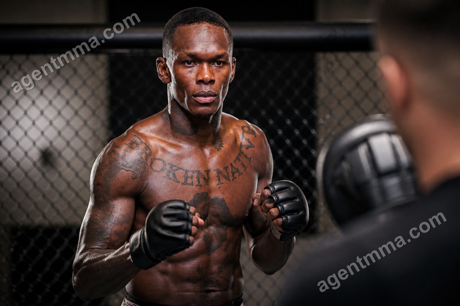 UFC Immediate Rematch Win Rate: Do Winners Repeat?