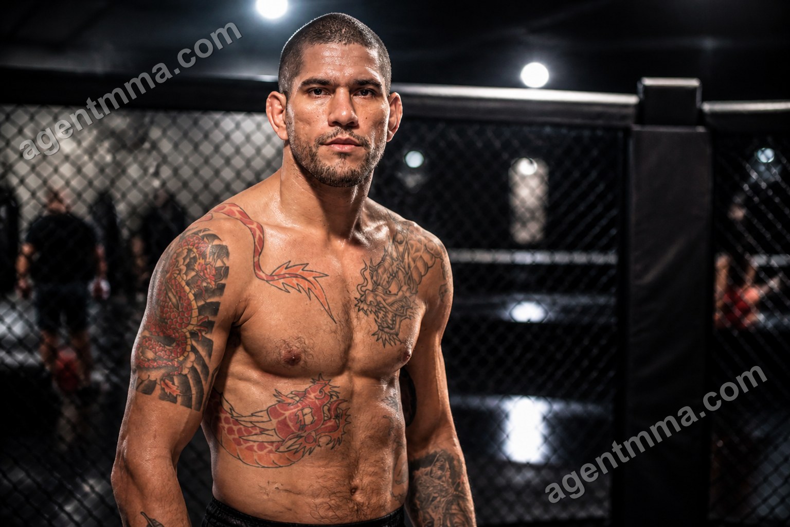 UFC Immediate Rematch Win Rate: Do Winners Repeat?