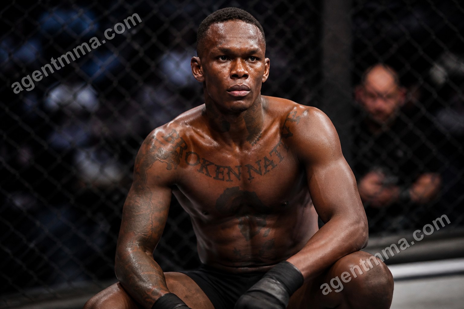 UFC KO vs TKO: What’s the Difference Under the Rules?