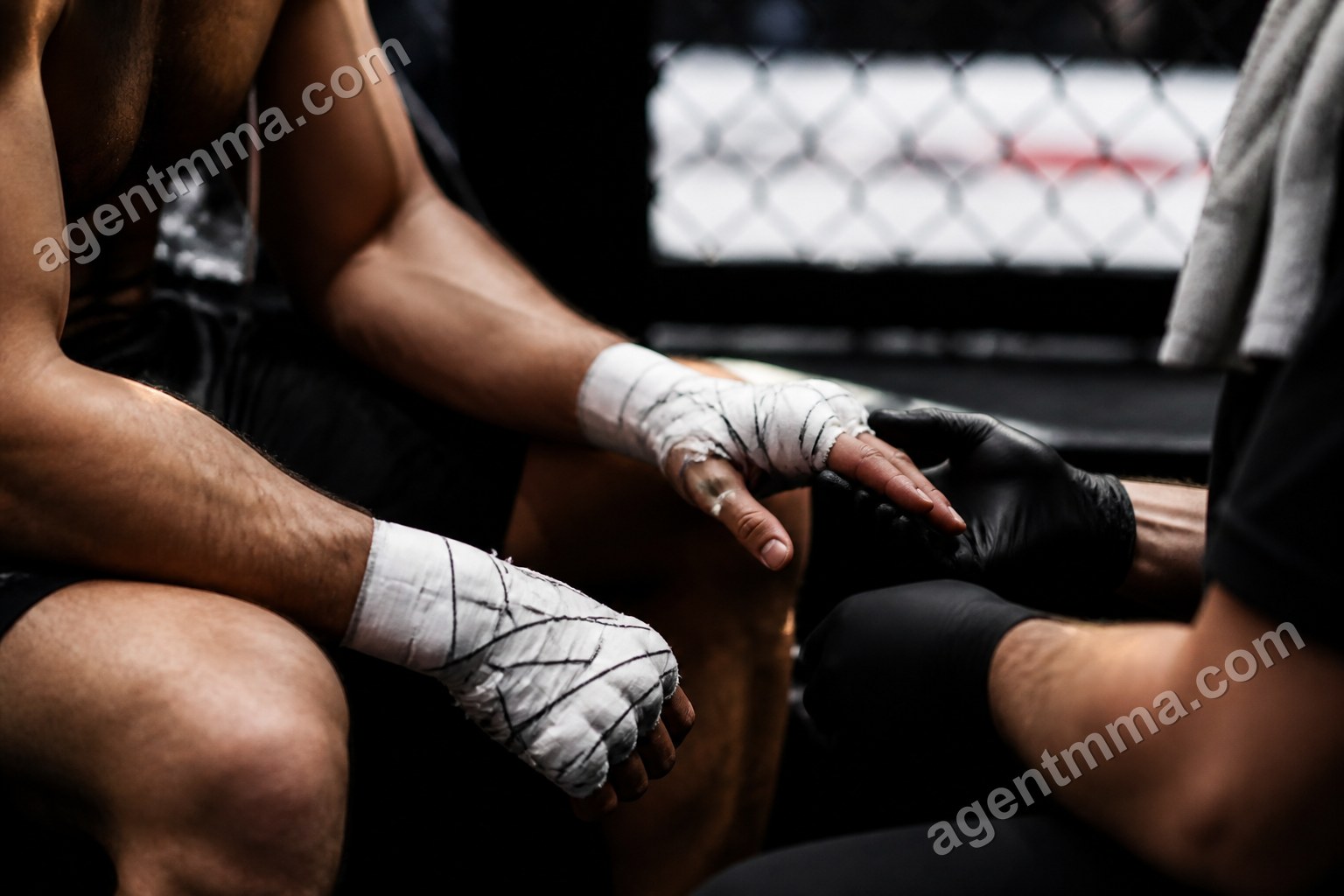 What Does No Contest Mean in UFC? Rules, Records and Data
