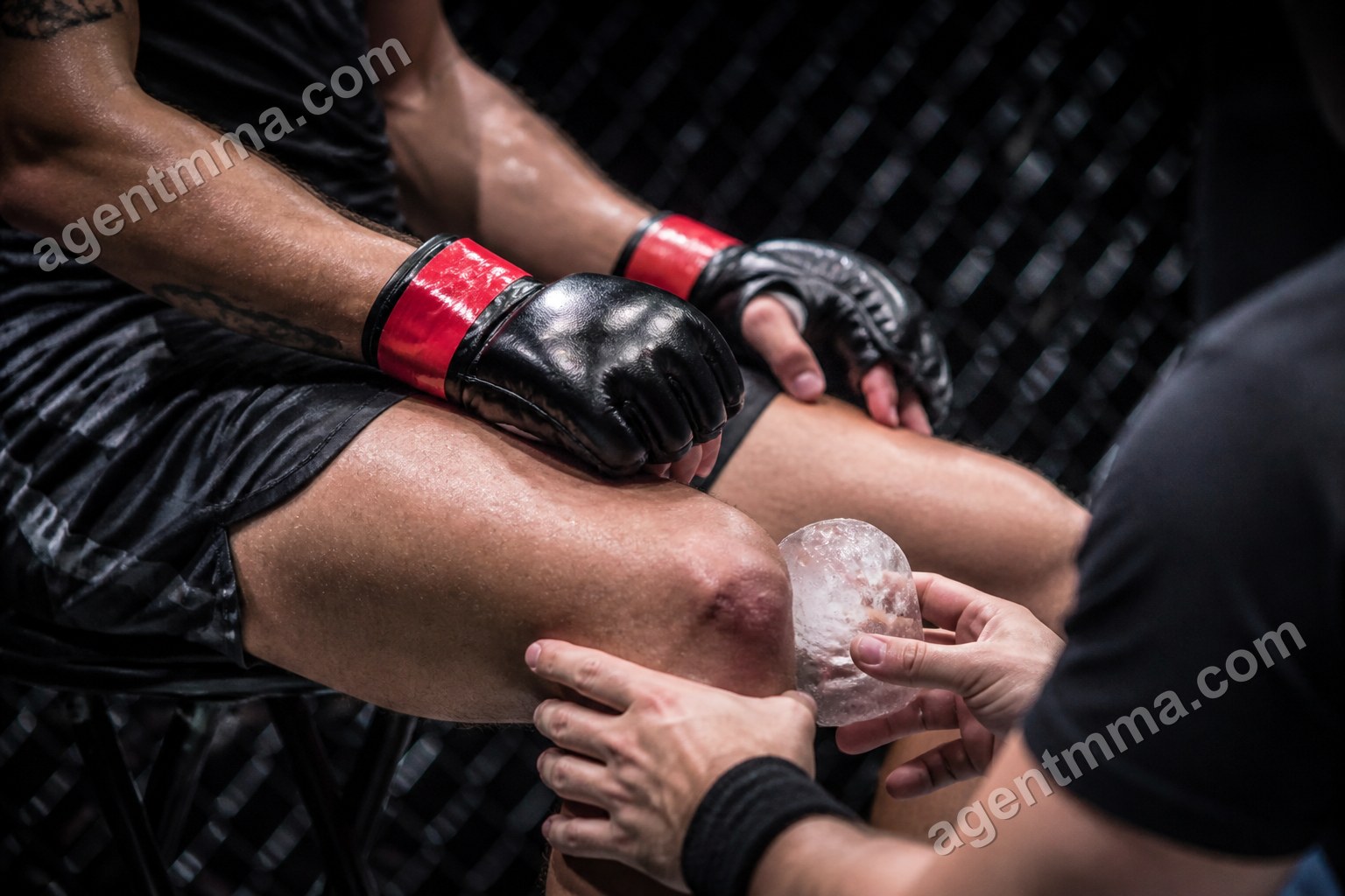 Les oblique kicks sont-ils légaux en UFC ? Règles et risques