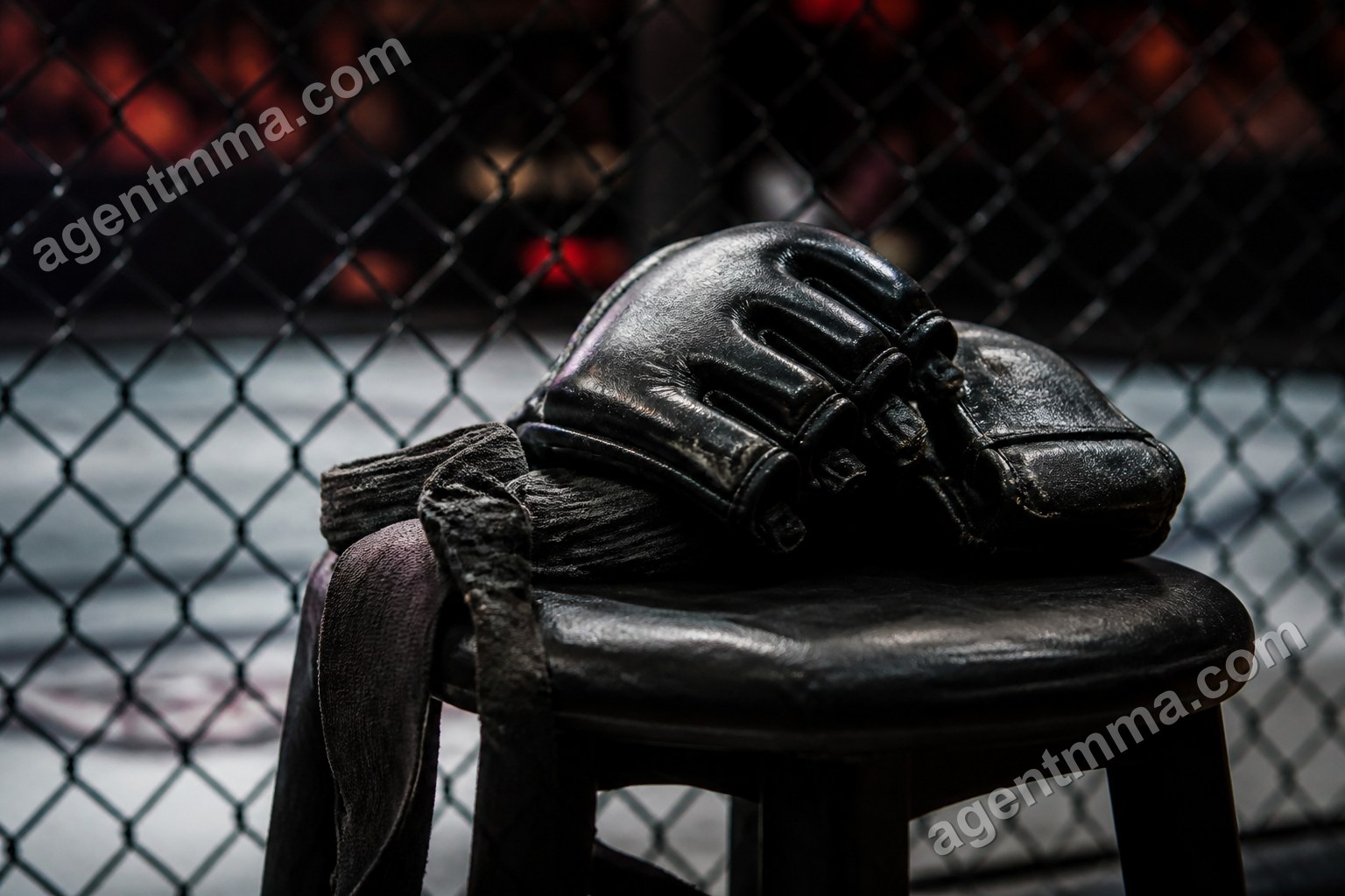How to Convert UFC Odds to Implied Probability: Examples