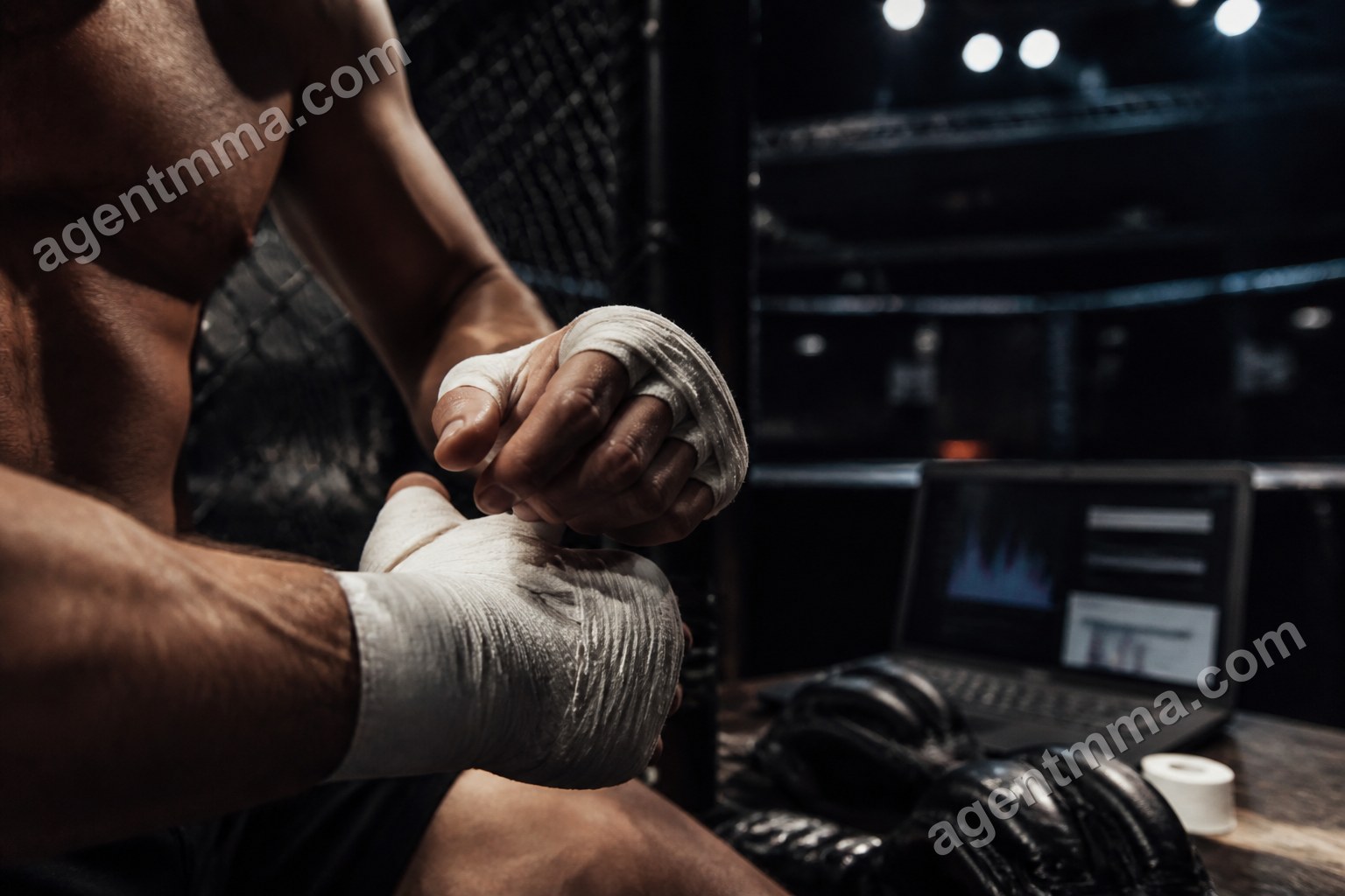 Do UFC Performance Bonuses Lead to More Fight Finishes?