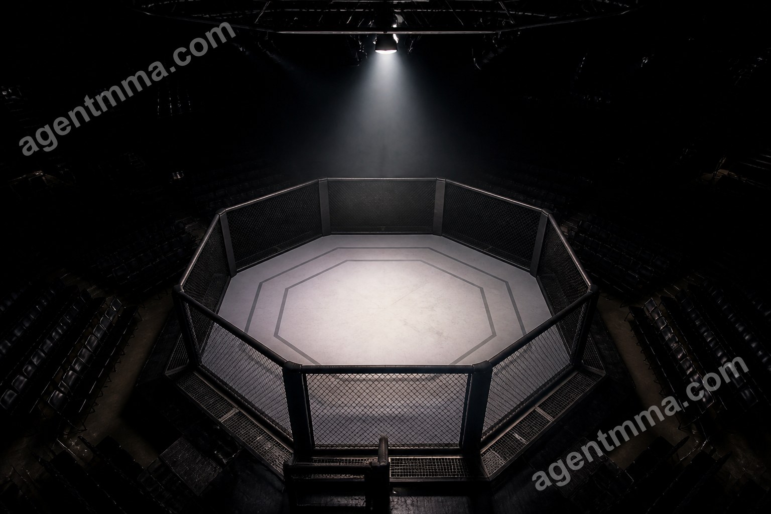 Do UFC Performance Bonuses Lead to More Fight Finishes?