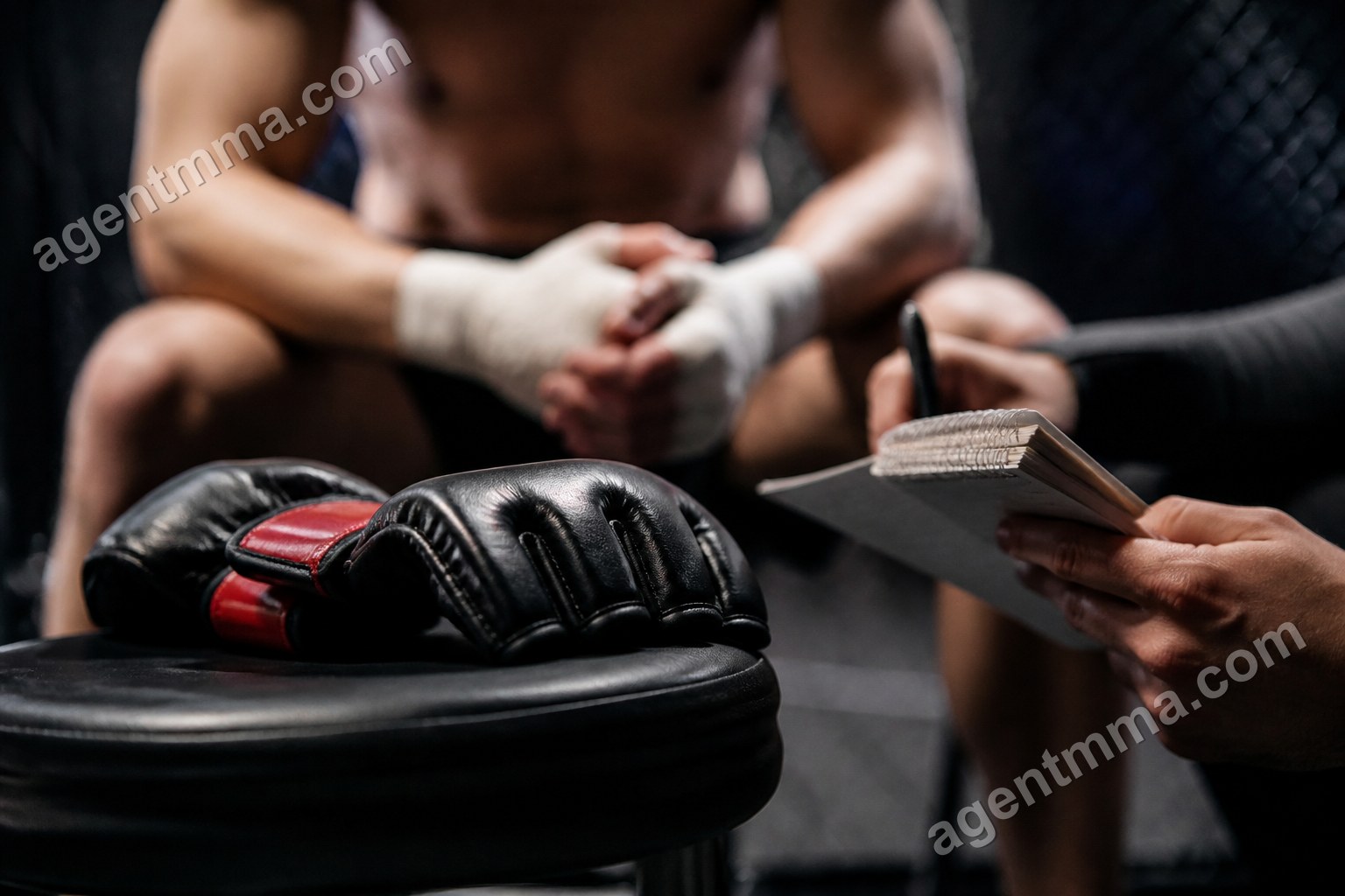Do Bettors Overvalue Famous UFC Fighters? What Data Says