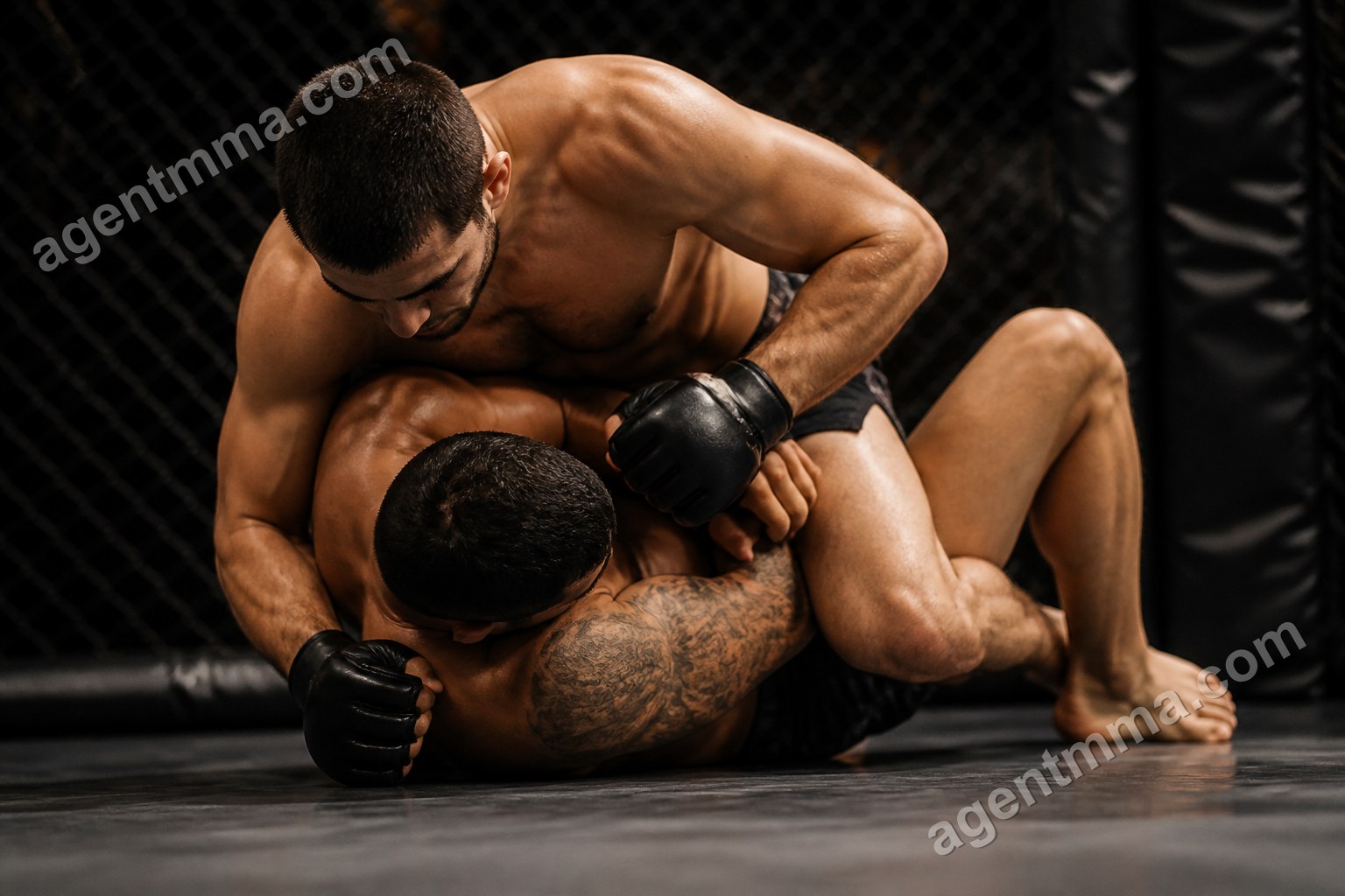 What Does REV Mean in UFC Stats? Reversals Explained