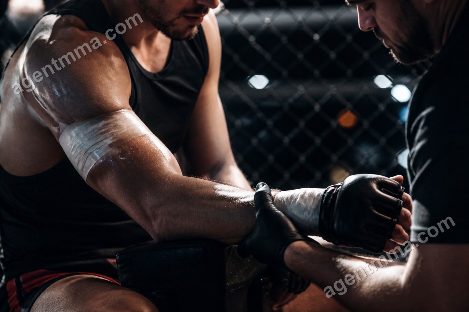Do UFC Fighters Perform Worse After Shoulder Injuries?