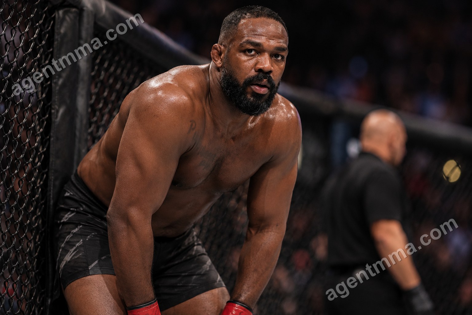Do UFC Fighters Perform Worse After Shoulder Injuries?