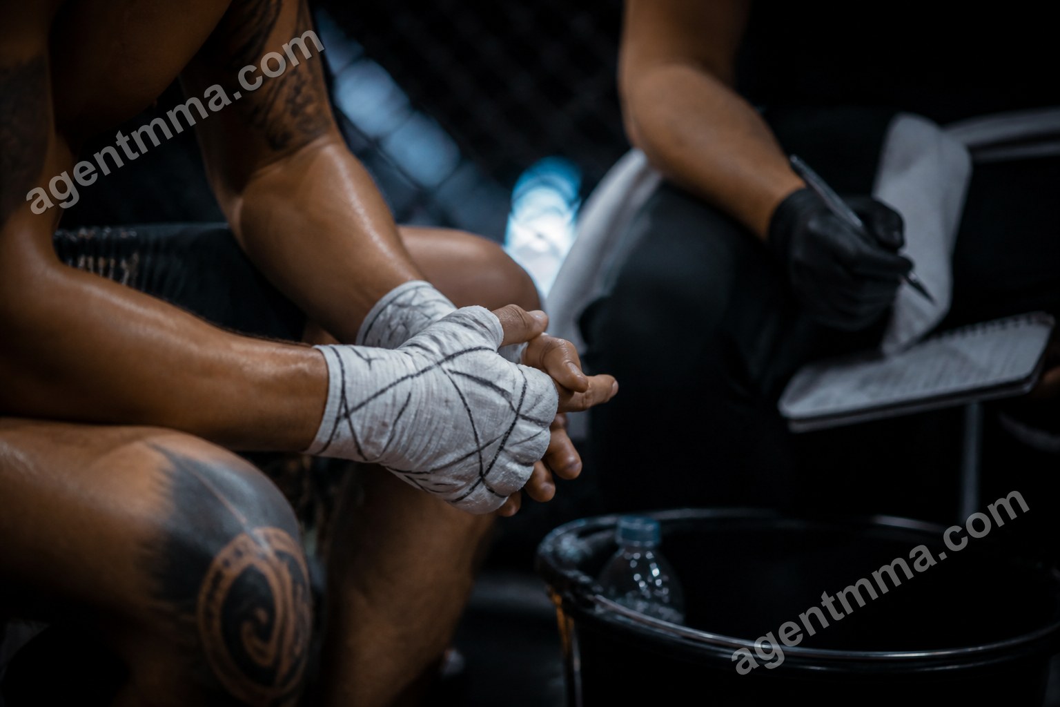 Striker vs Grappler in UFC: Which Style Wins More?