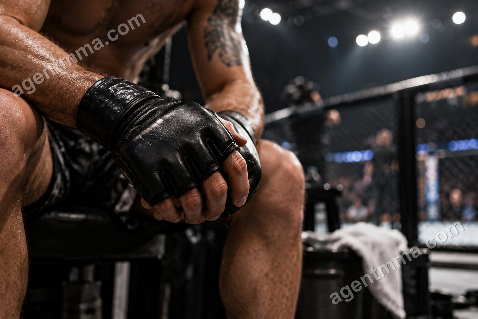 UFC-дегі сабмишн үлесі азайып бара ма? Деректер не дейді