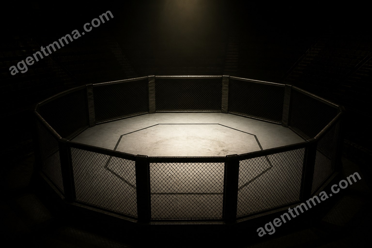 UFC Takedown Trends: Are Fighters Wrestling Less Now?