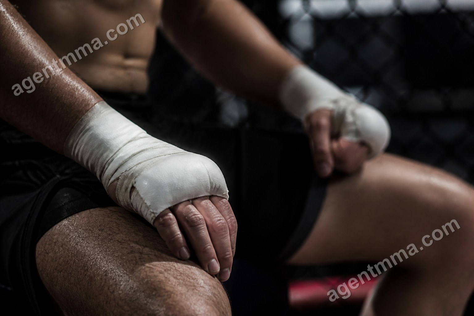 UFC Unanimous vs Split vs Majority Decision Explained