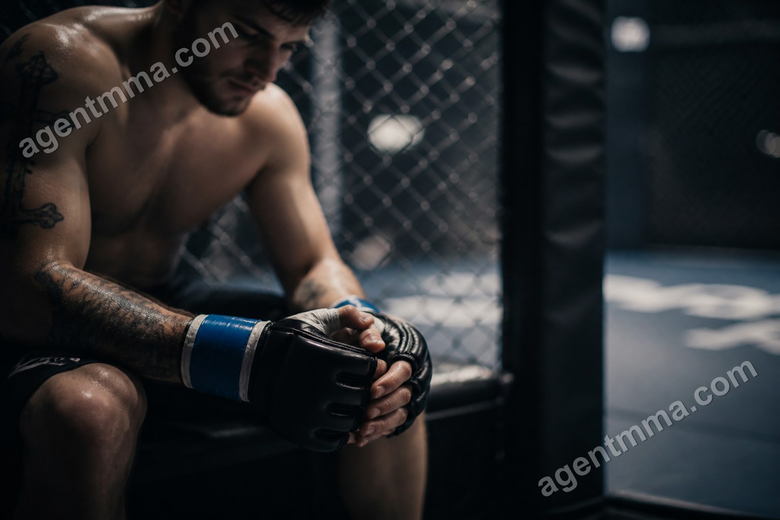 Is UFC More Dangerous Than Boxing? What Injury Data Says